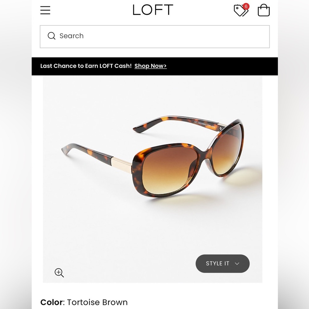 LOFT Brown Tortoise Sunglasses